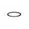 Joint torique Chlorinateur CL0200 Hayward