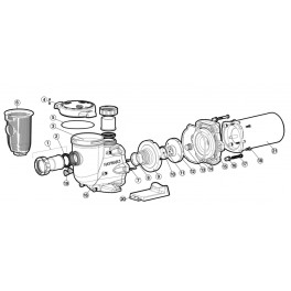 Clé pour vis turbine 