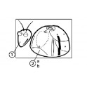 Tête complète avec yeux antennes