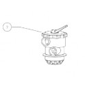 Vanne F-30T8-TAG pour filtre Tagelus Pentair