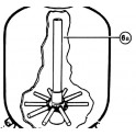 Diffuseur inférieur & tube central S0310TE  pour Filtre à sable TOP Hayward