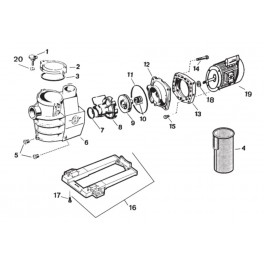 Presse étoupe Pompe Hayward Max Flo SP2816