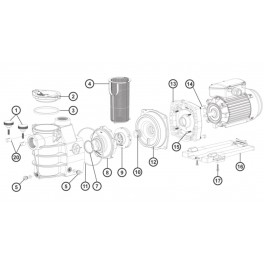 Ecrou + vis pompe Pompe Hayward Powerline Plus