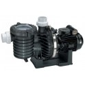 Pompe Sta-Rite spécial eau de mer SW5P6RD1 - 3/4 CV mono - 14 M3/H