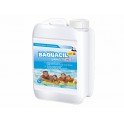 Baquacil PHMB2 en 1  Liquide en 3L