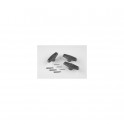 Vis de Couvercle PPE Fonte 1500/3000 trs/mn -  (ASTRAL) AstralPool ARAL C1500